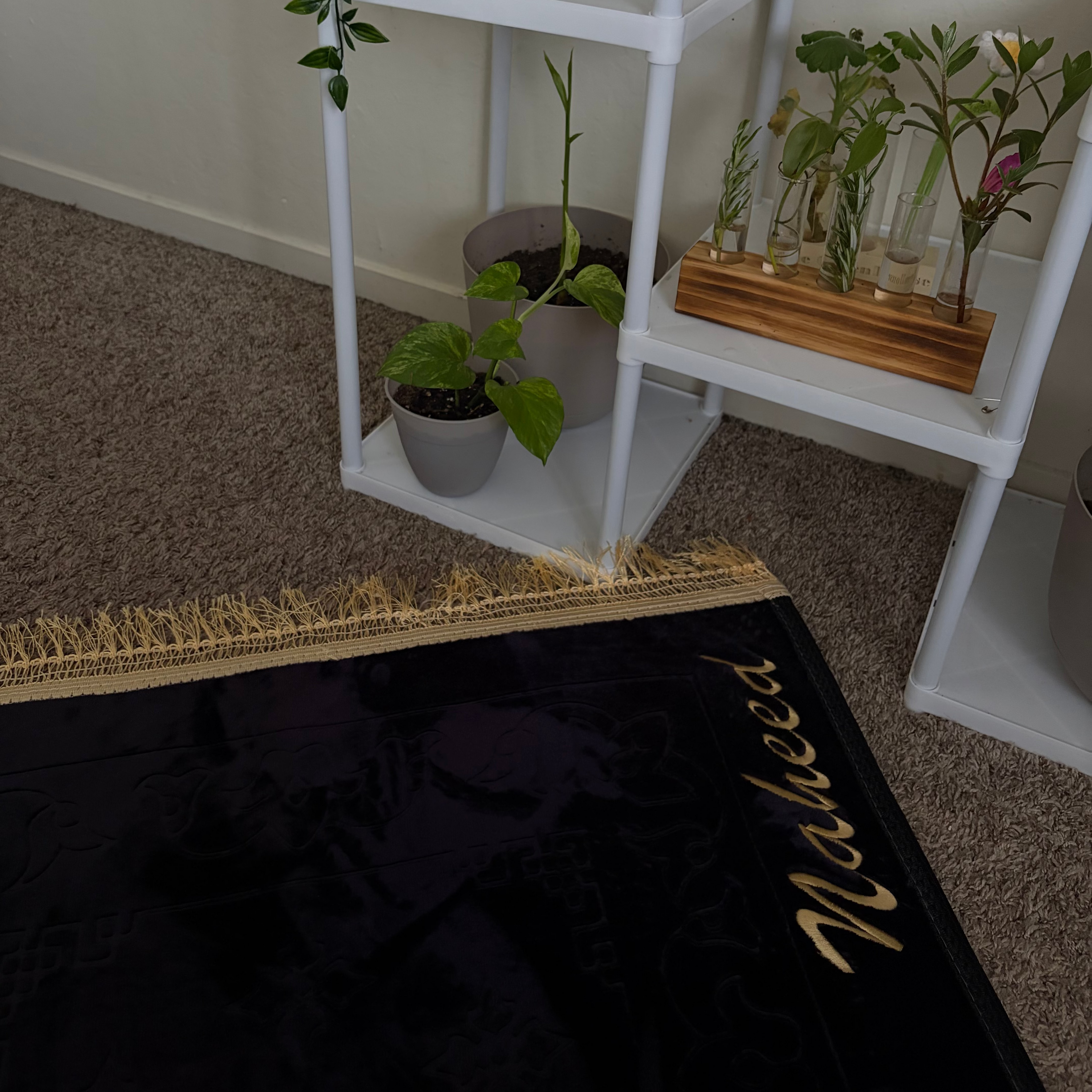 Velvet Prayer Rugs (Customizable)